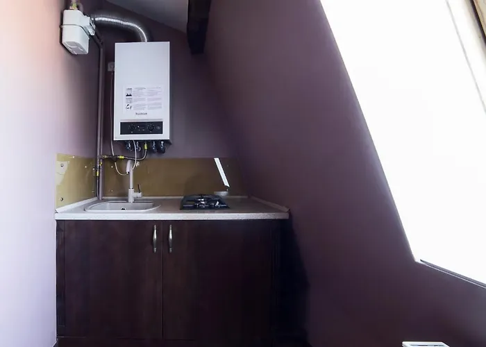 на площі митній в центрі львова Apartment Lviv